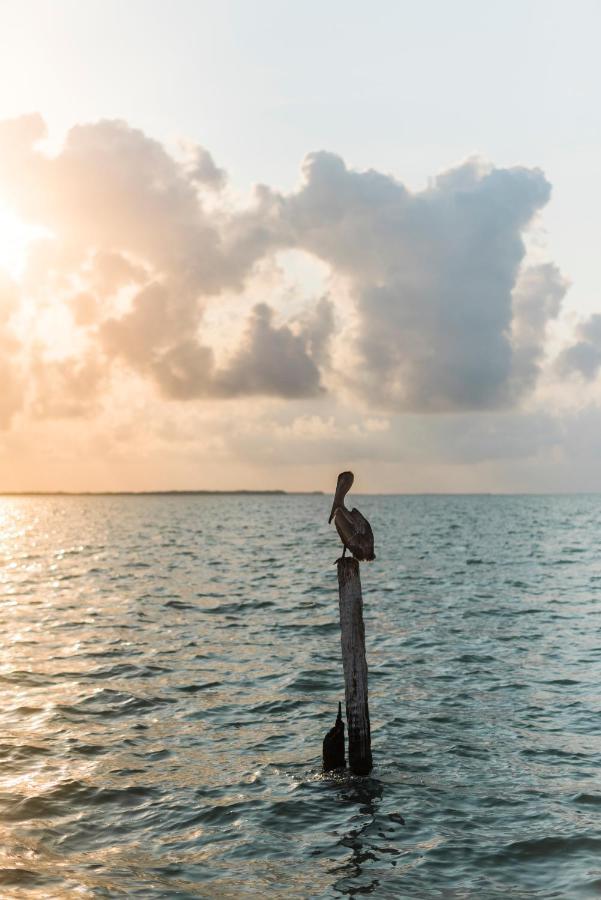 Slickrock Belize Adventures Glovers Reef Esterno foto